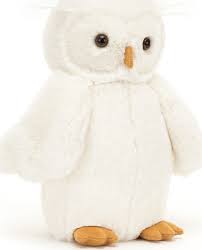 Bashful Owl
