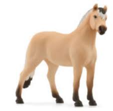 Cheval norvégien Fjord