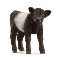 Veau Galloway