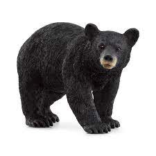 Ours noir d'amérique