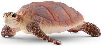 Tortue marine à bec court