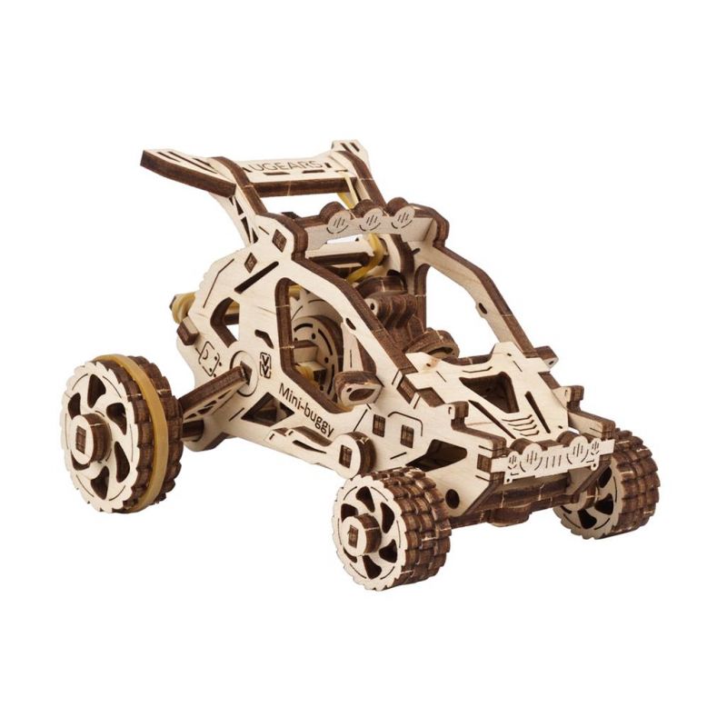 Desert buggy