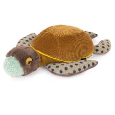 Petite Tortue Tout Autour du monde