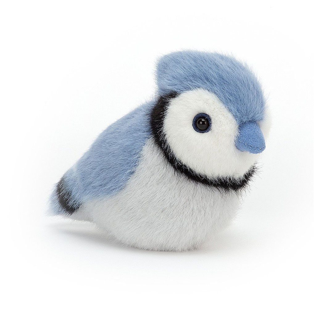 Geai bleu