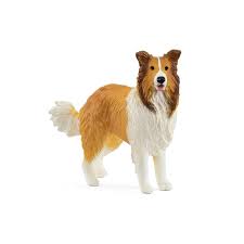 Chien colley