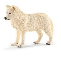 Loup arctique
