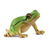 rainette verte