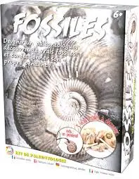 Kit paléontologue : Les fossiles 