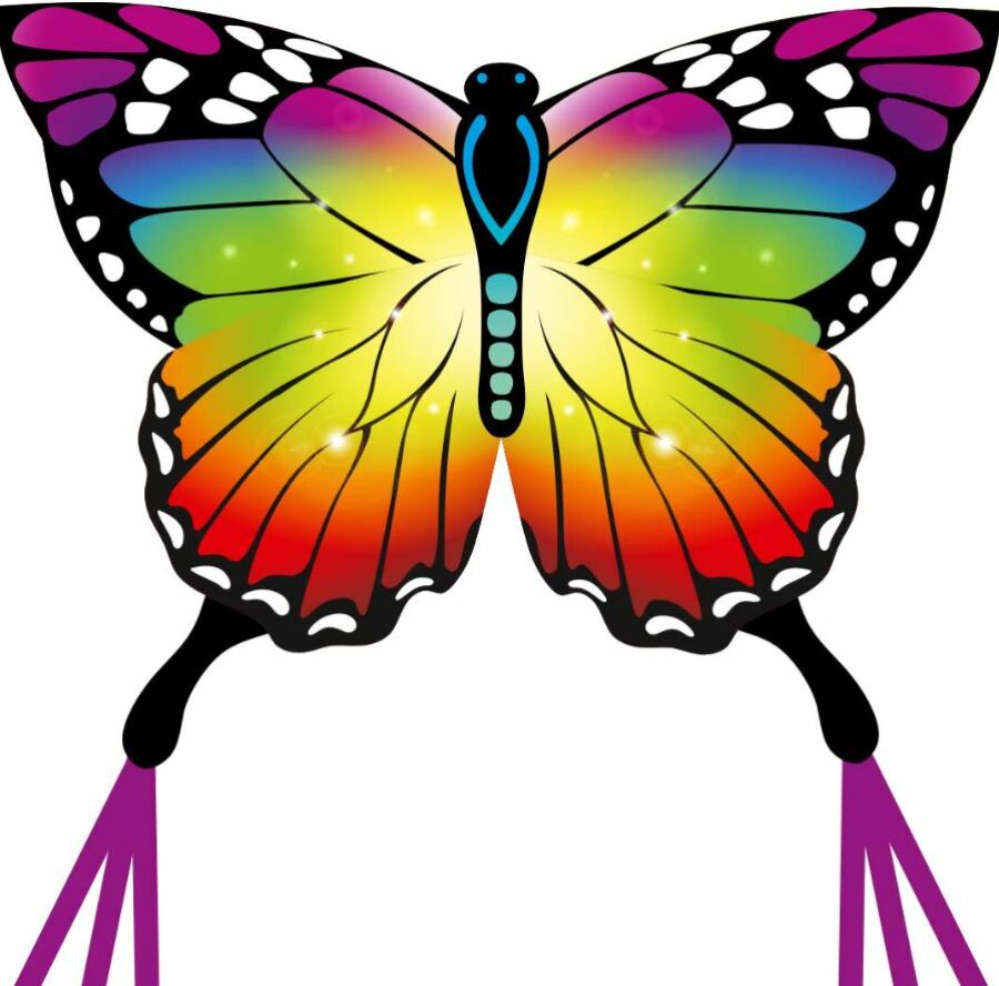 Cerf volant - Ecoline Butterfly Rainbow Sárkány