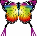 Cerf volant - Ecoline Butterfly Rainbow Sárkány