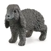 Lapin bélier