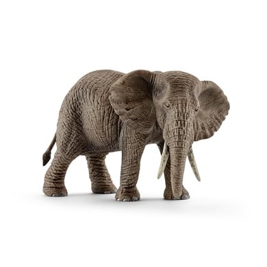Schleich - Eléphant d'Afrique femelle