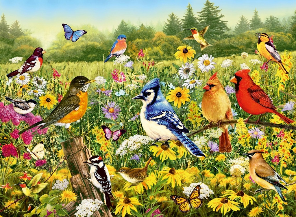 Puzzle 500 pc - oiseaux
