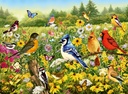 Puzzle 500 pc - oiseaux
