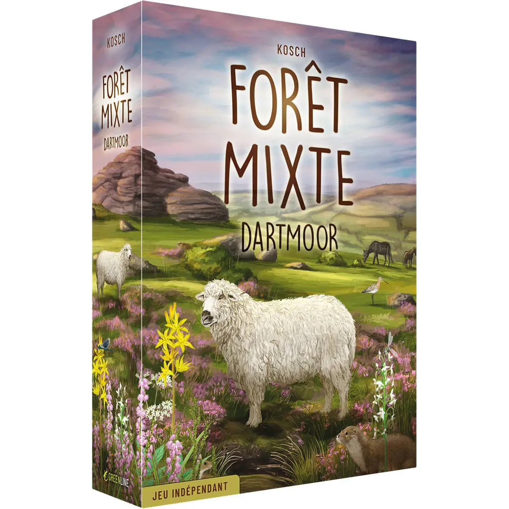 Forêt Mixte - Dartmoor