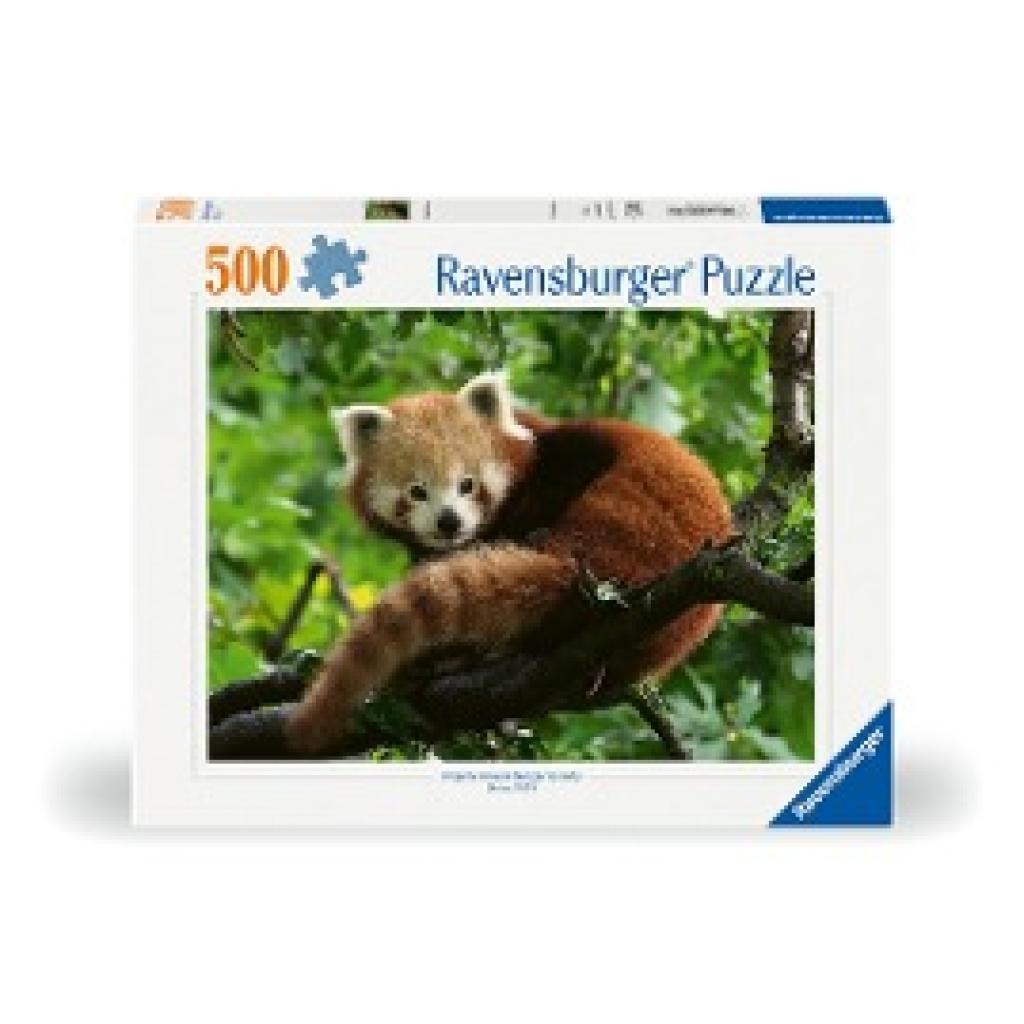 Puzzle 500 pcs - Panda roux