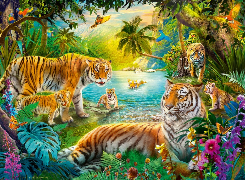 Puzzle 500 pcs - Tigres dans l'oasis - WJPC