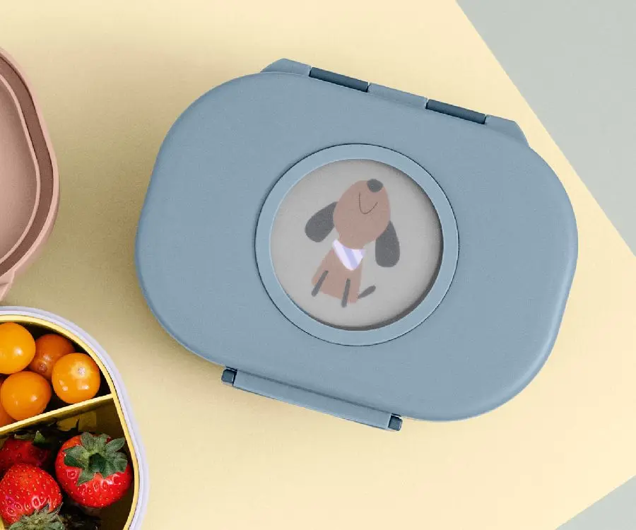 Boîte à repas bleu-vert chien