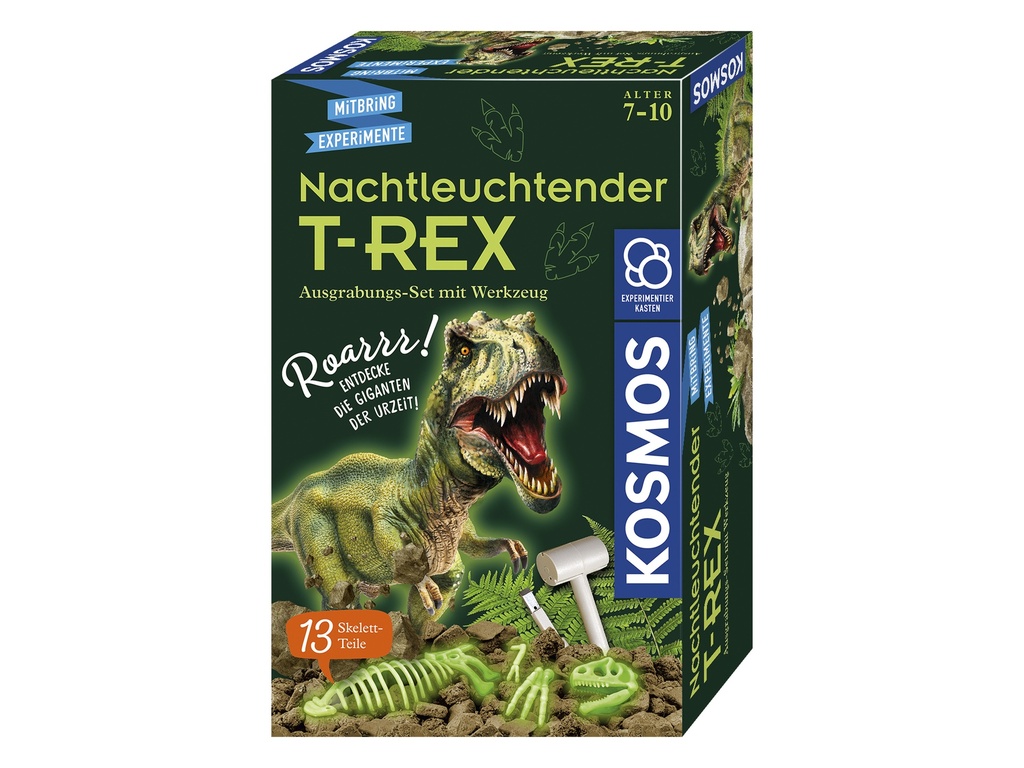 Glow in the Dark T-REX