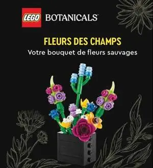 LEGO Botanicals - Fleurs des champs