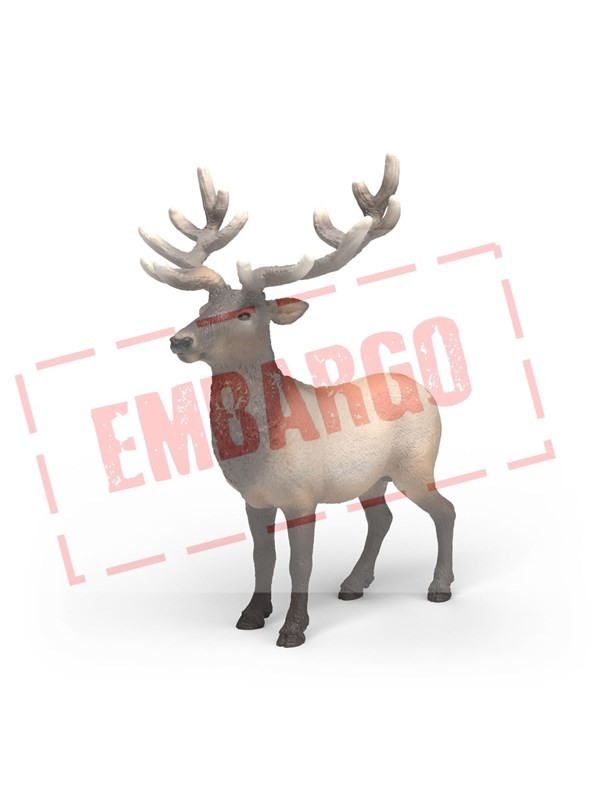 Elan d'Amérique - Schleich WILD LIFE