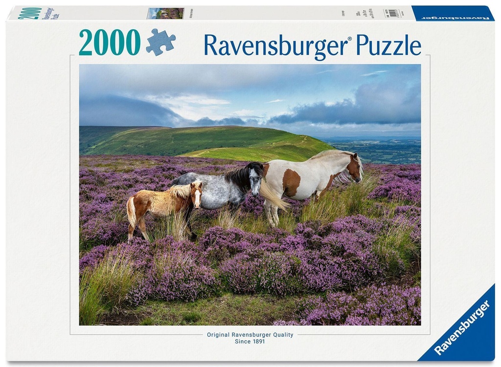 Puzzle 2000pcs Chevaux sauvages dans la bruyères