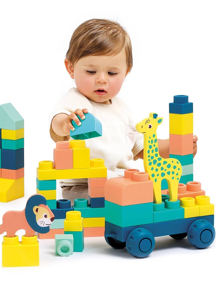 Ludi - Briqui : Mes premières constructions