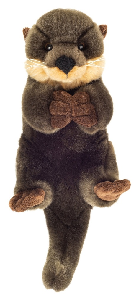 Loutre