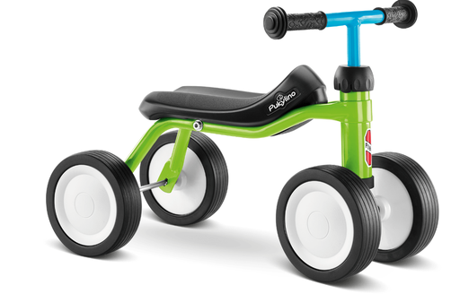 [3018] Pukylino - Kiwi