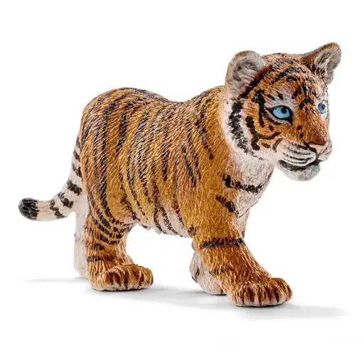 [14730] Jeune tigre du Bengale