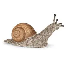 [50262] Escargot