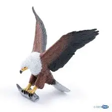 [50282] Aigle pecheur