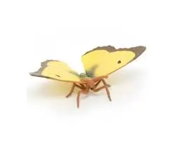 [50288] Papillon Souci