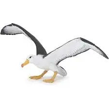 [56038] Albatros