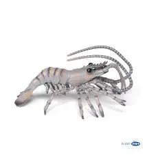[56053] Crevette
