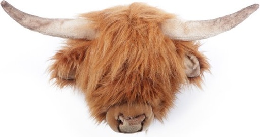 [WS0061] Tete de vache Ecosse Nicolas
