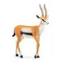 [14861] Gazelle DE THOMSON