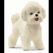 [13963] schleich bichon frisé