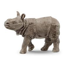 [14860] Bébé rhinocéros indien