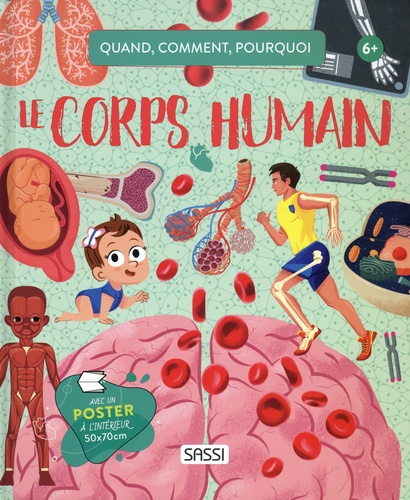Quand, comment, pourquoi Le corps humain