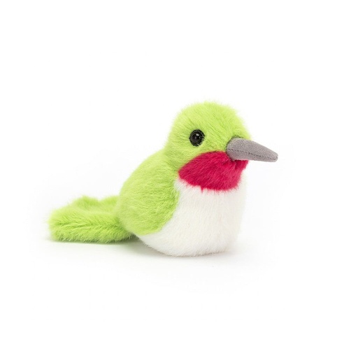 [BIR6HUM] Oiseau colibri hummingbird