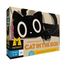 [02414] Cat in the box
