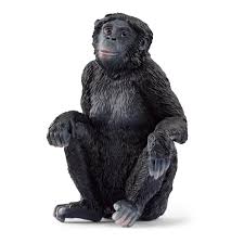 [14875] Bonobo femelle