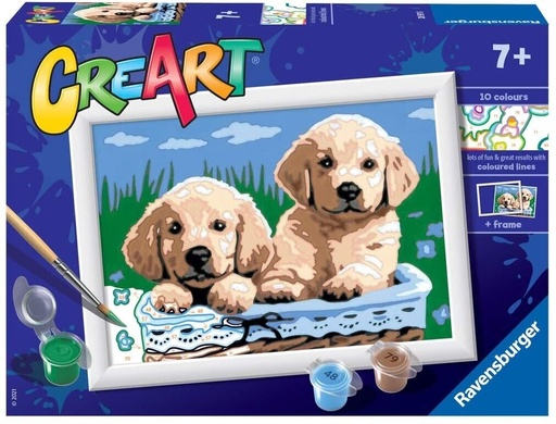 Creart - Chiots labrador
