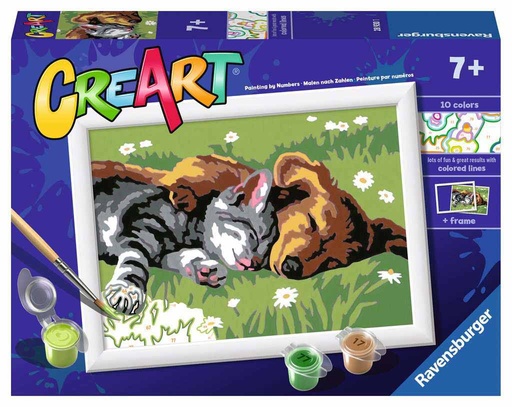 Creart - Chien et chat