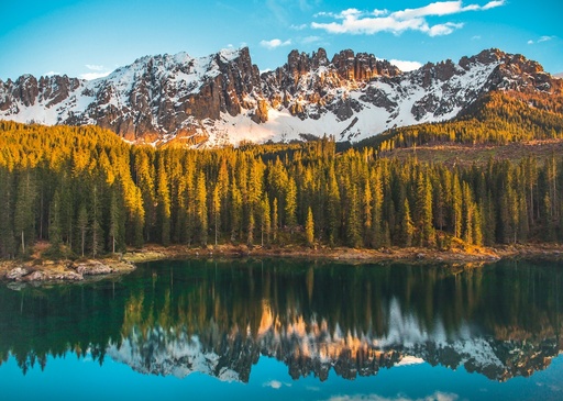 Puzzle Le lac de Carezza 1000 pcs