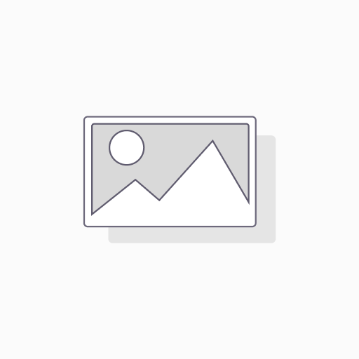 [EPTURKIT33] Bic effaçable - Pingouin