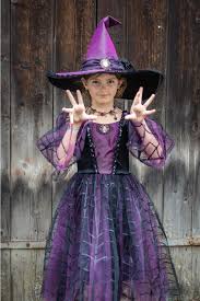 [34395] Robe de sorcière Amethyst l'araignée (5-6ans)