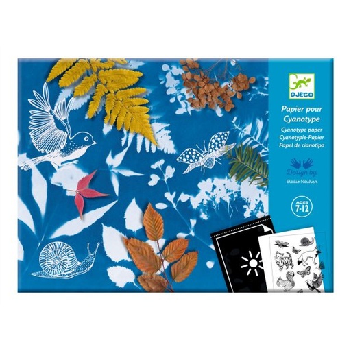 [dj09339] Cyanotype - starter kit