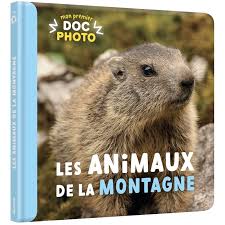 Les animaux de la montagne - mon premier doc photo